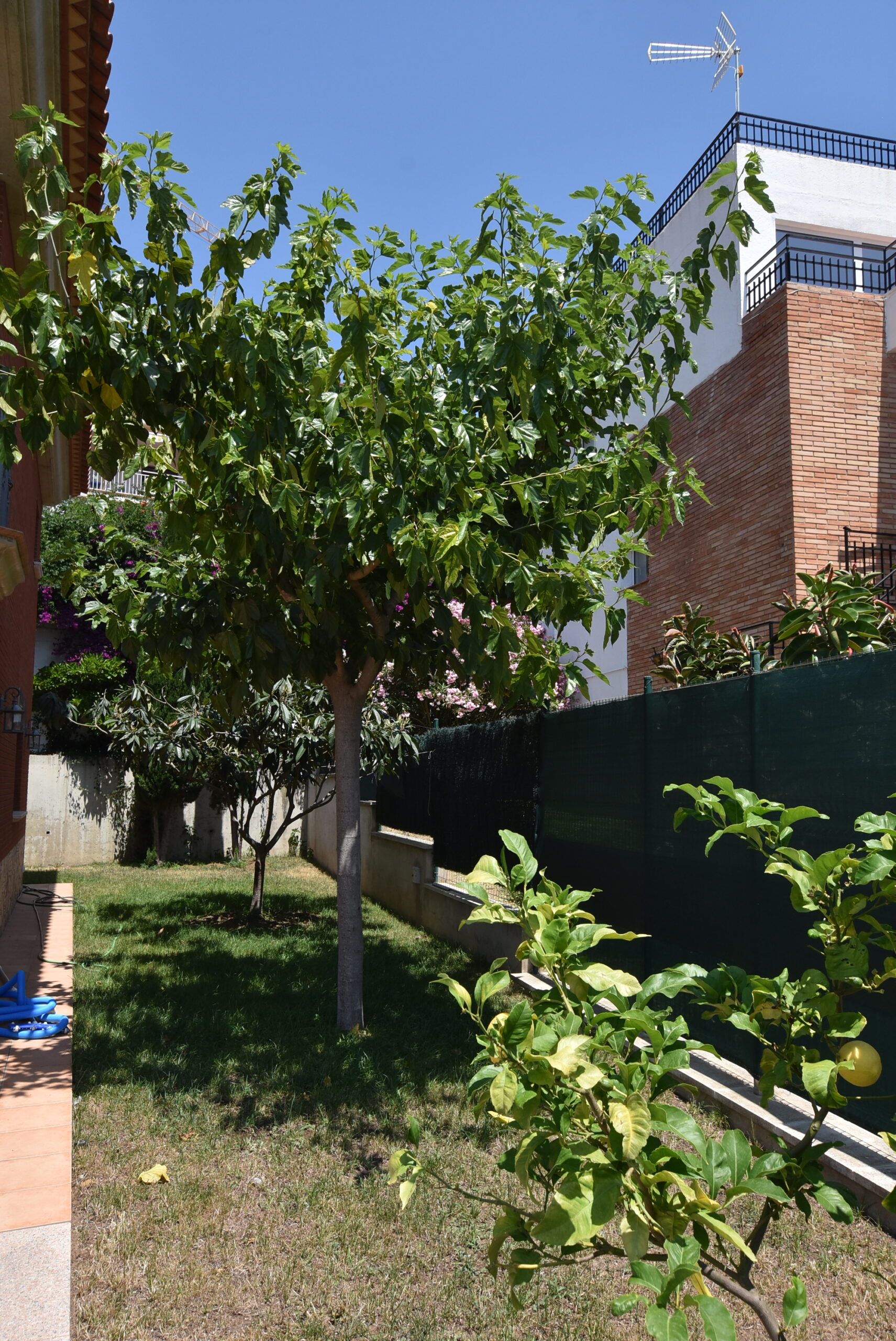 Casa en Playa de Aro — foto 10