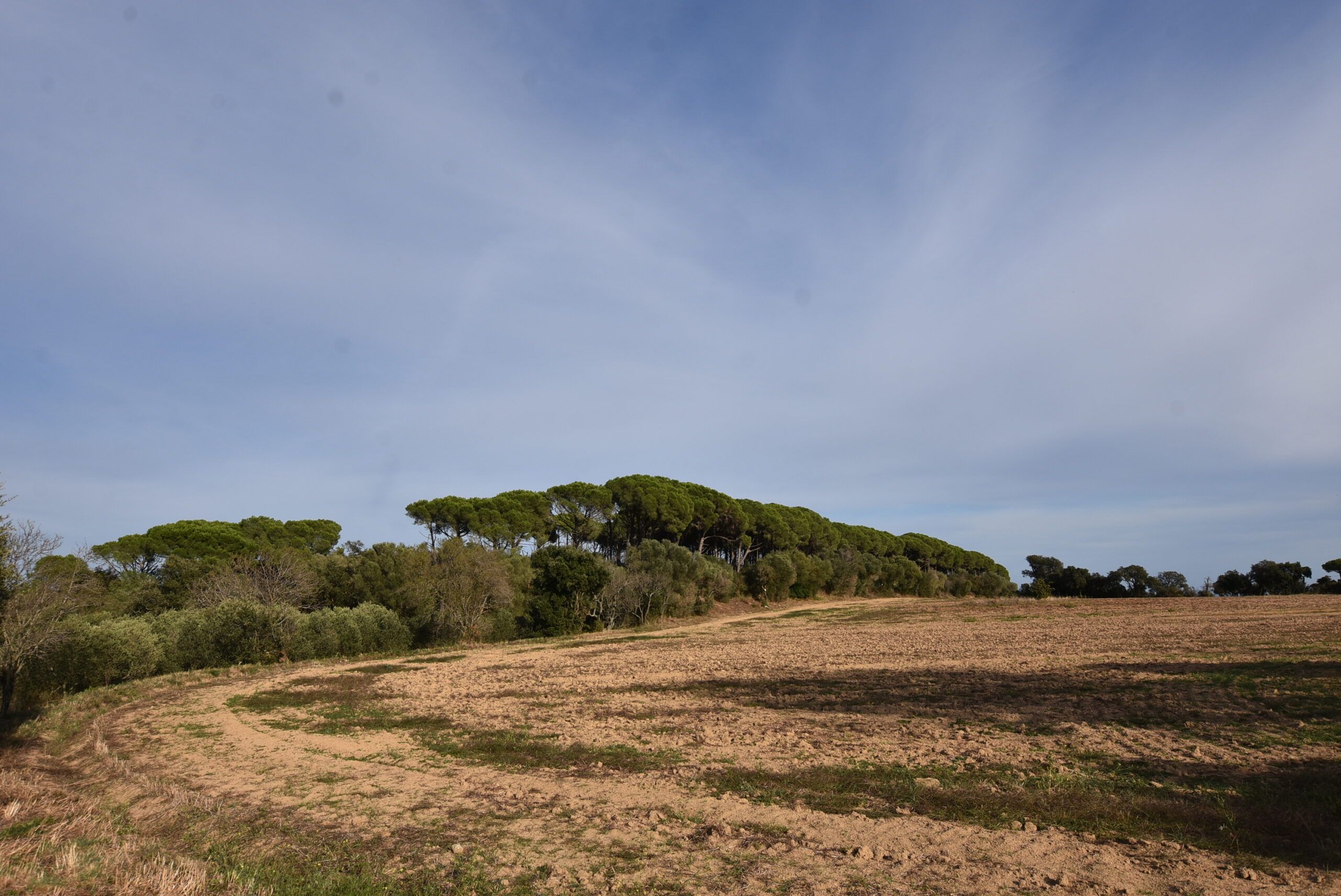 Playa de Aro Masía en venta — foto 15