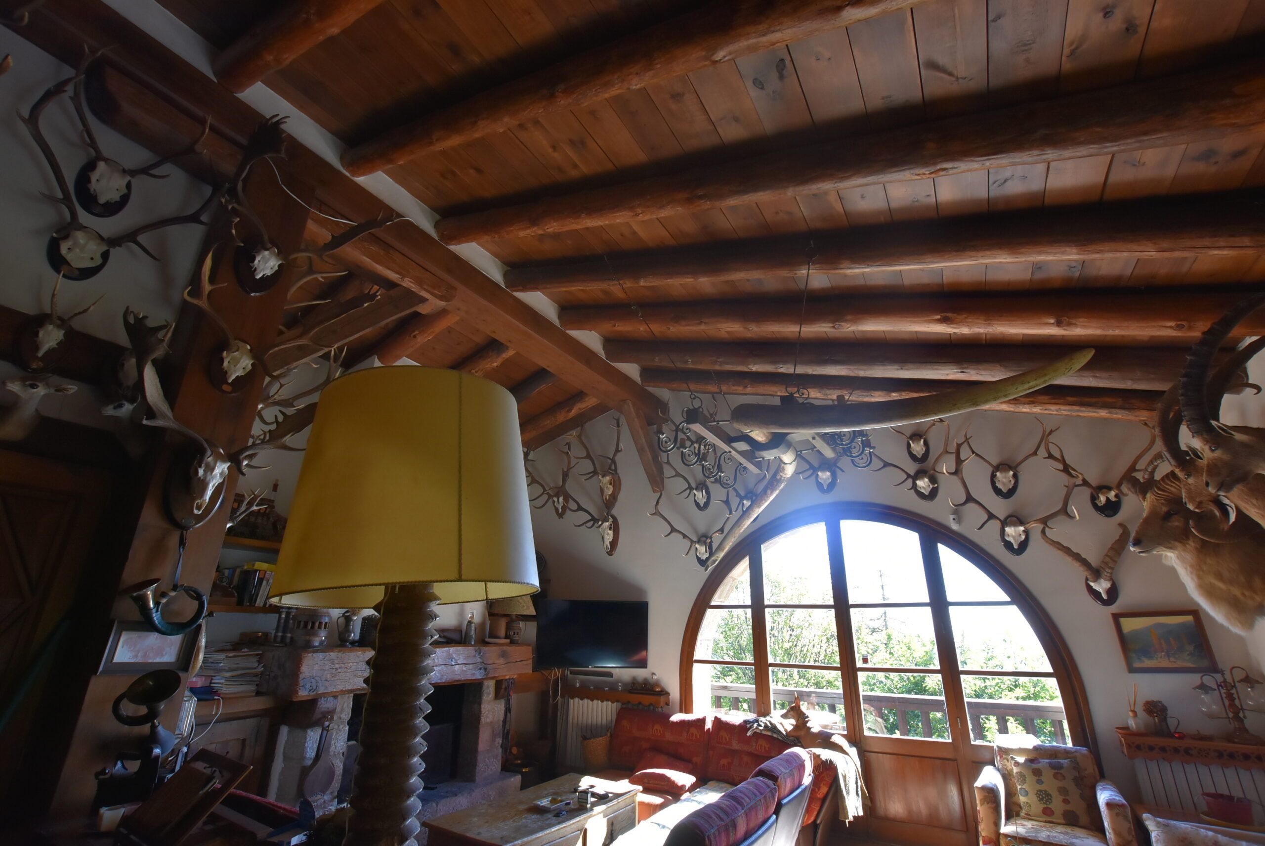 Venta Coto de caza mayor en Solsona