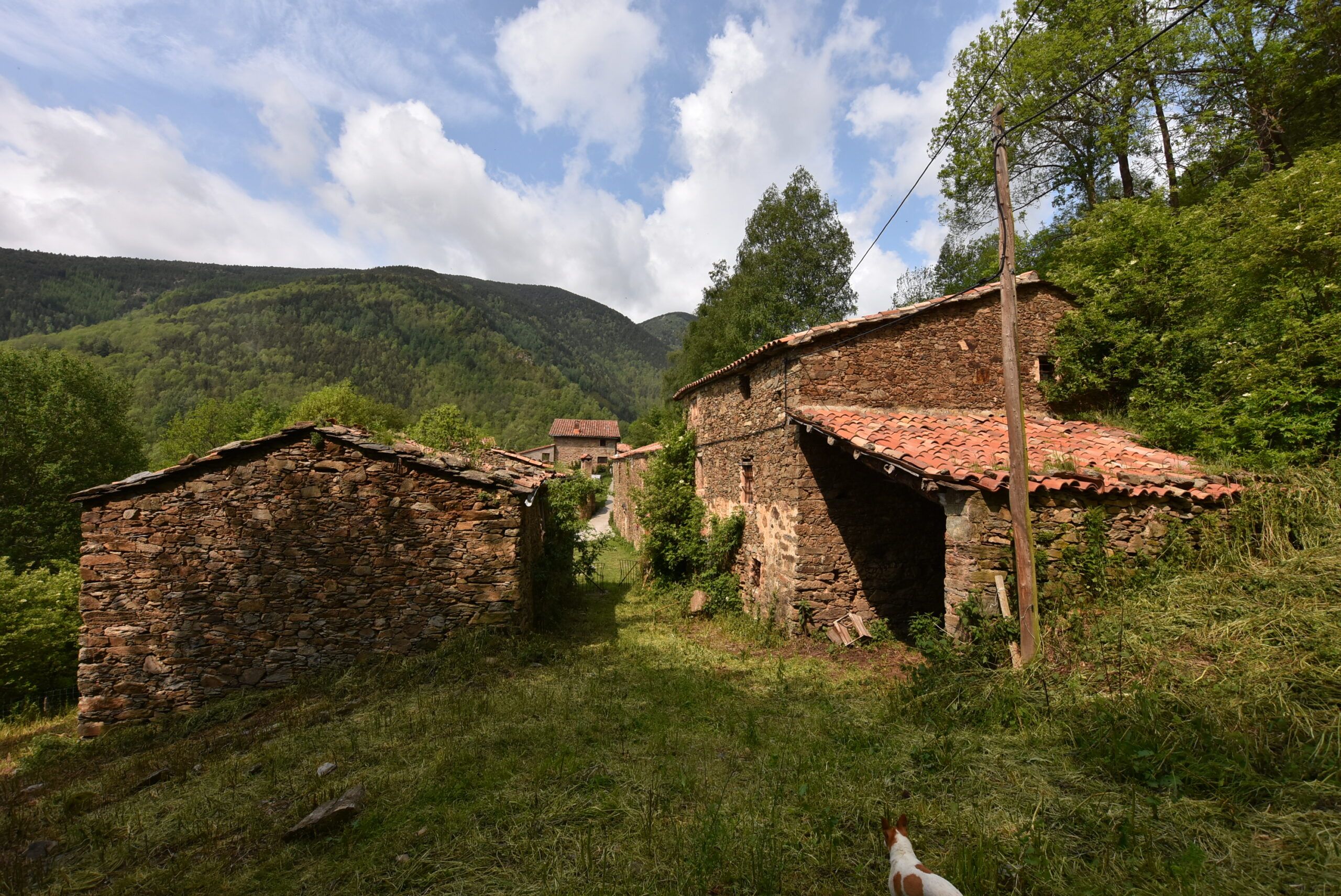 Masías en venta en Tregurà de baix — foto 9