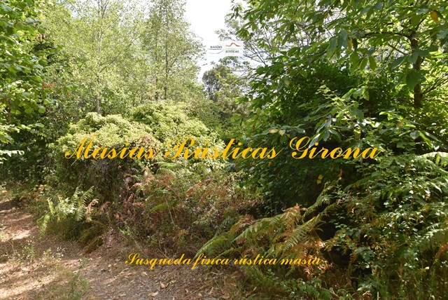 Finca Rustica di 79 ettari a Susqueda — foto 2