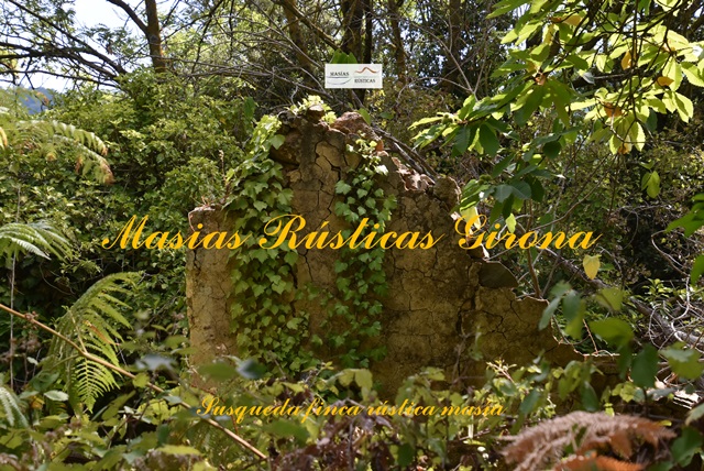 Finca Rustica di 79 ettari a Susqueda — foto 3