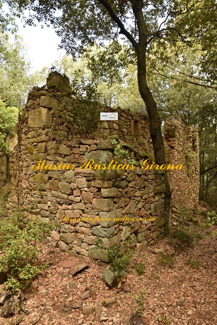 Finca Rustica di 79 ettari a Susqueda — foto 4