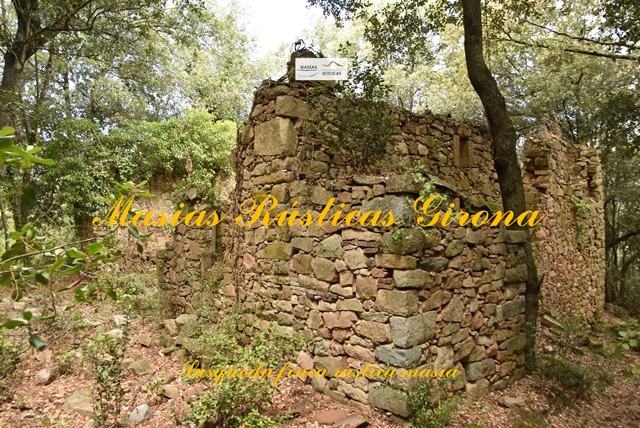 Finca Rustica di 79 ettari a Susqueda — foto 5