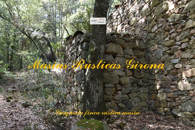 Finca Rustica di 79 ettari a Susqueda — foto 6