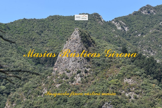 Finca Rustica di 79 ettari a Susqueda — foto 11