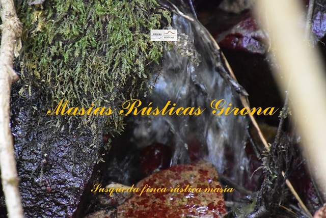 Finca Rustica di 79 ettari a Susqueda — foto 12